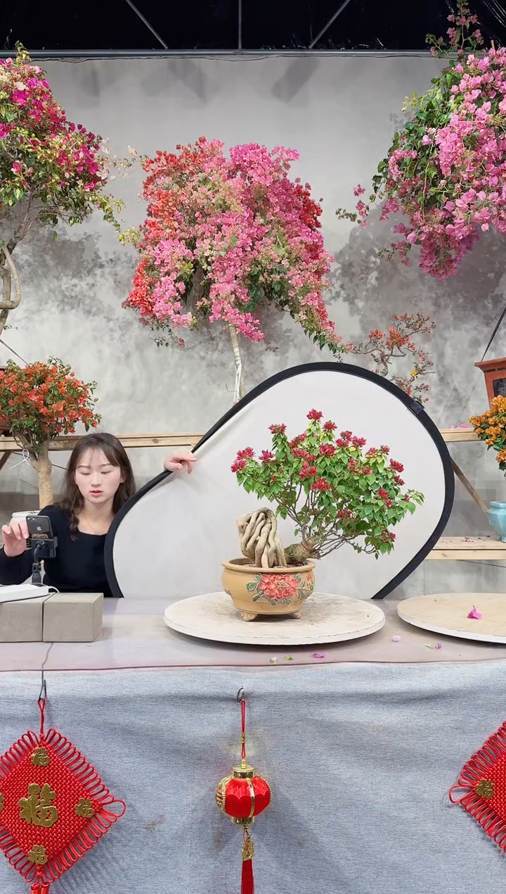 【闪购商品】盆景塔紫小桃红