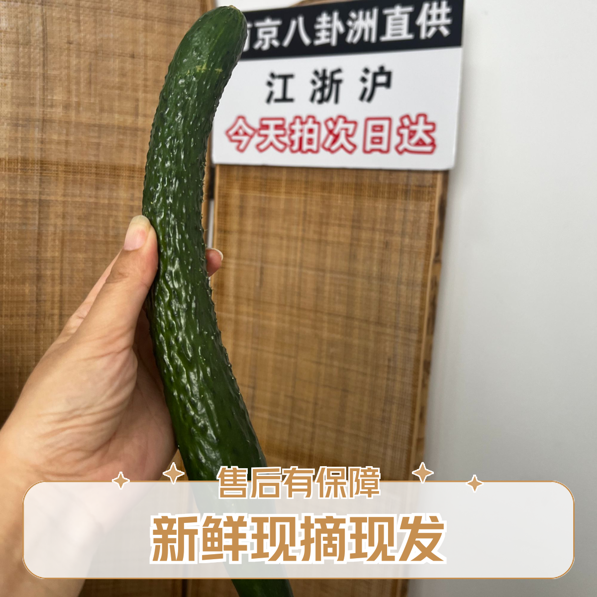 【蔬菜组合E】1斤黄瓜+1斤豇豆+2斤毛豆  农家现摘现卖次日达三样蔬菜共4斤蔬菜