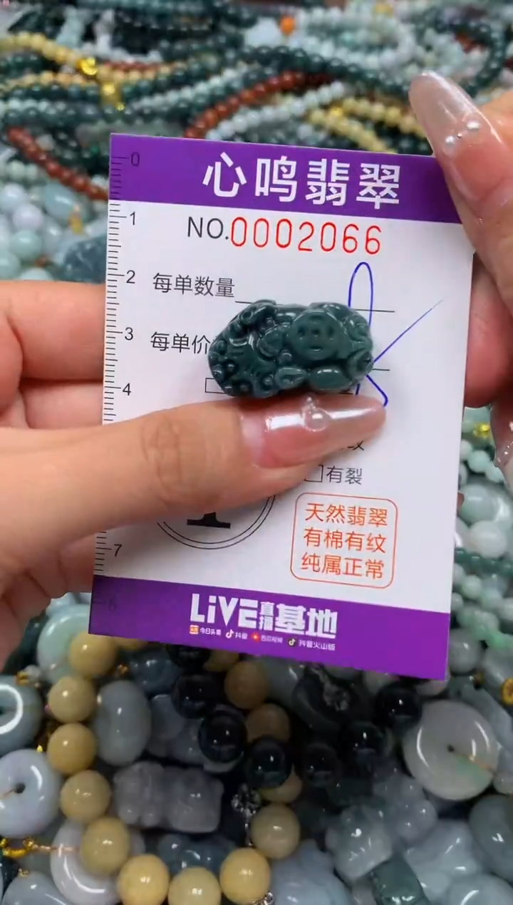 颈饰未镶嵌翡翠闪购002066