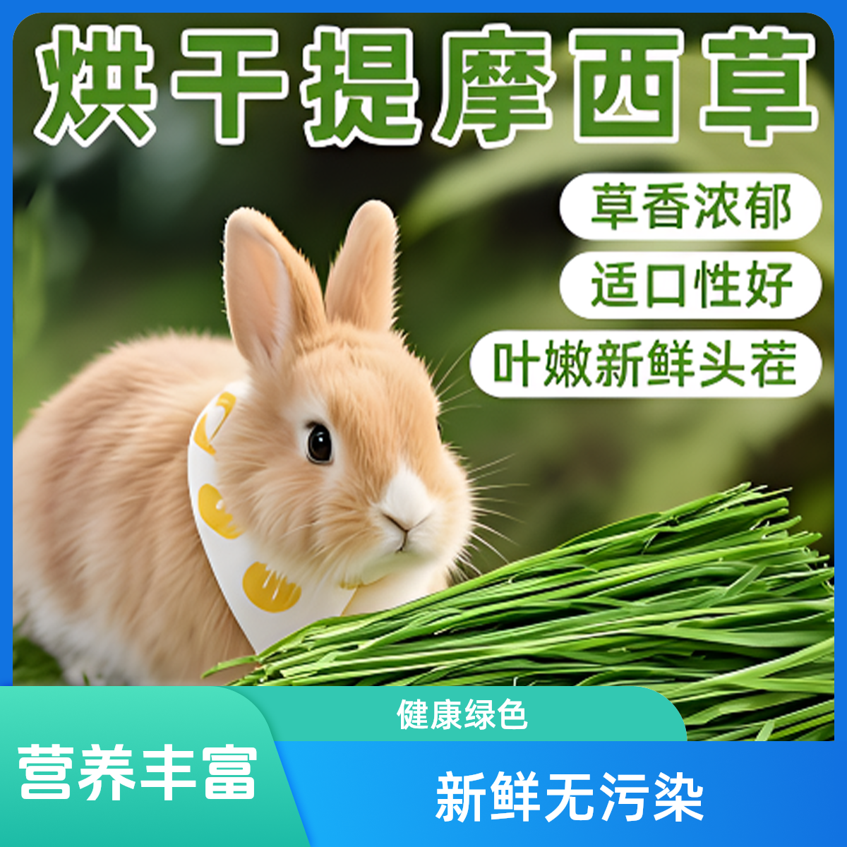 烘干切段提摩西草精品兔干草