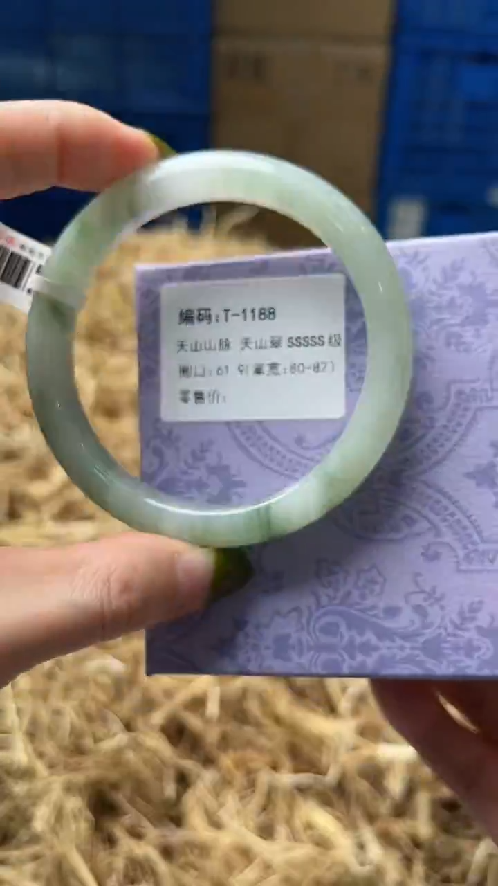 未镶嵌手镯石英质玉T1188