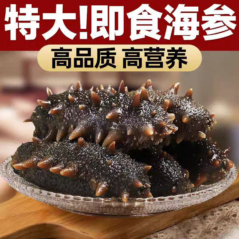 『鲜食海参』6-8头500g大连海参即食 Q弹口感  深海正宗辽参