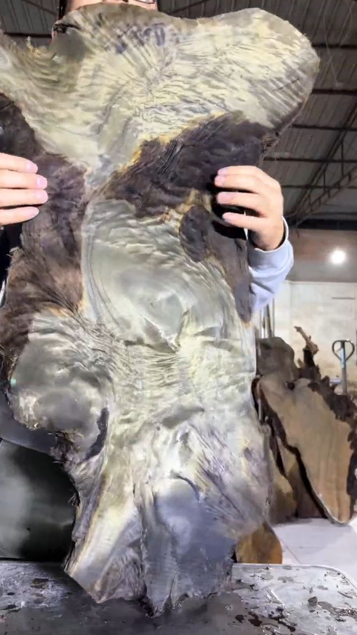 金丝楠26金丝楠小叶桢楠原材料