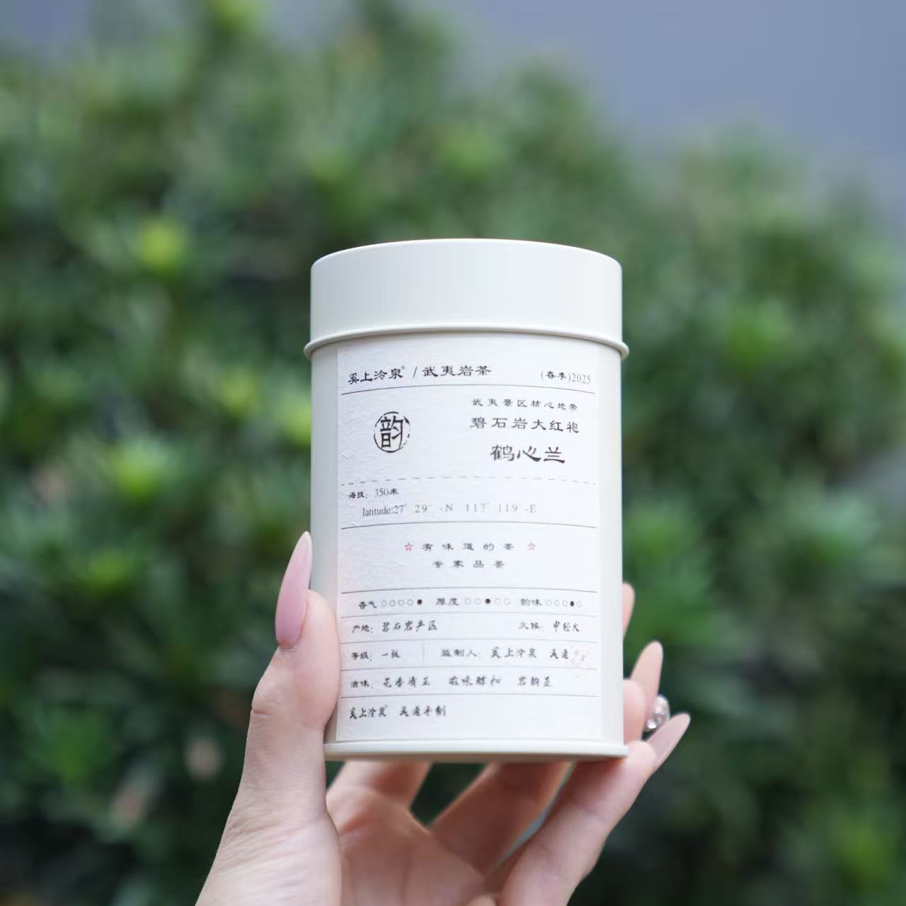 奚上泠泉鹤心兰 金交椅大红袍