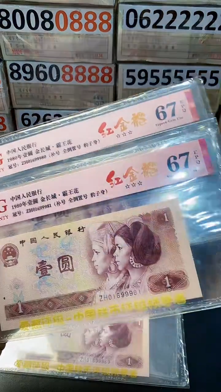 纸801红金龙补号ZH  倒置