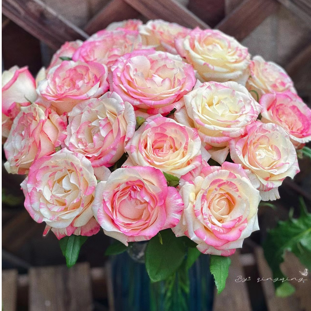 霓裳玫瑰【0度以下一定要拍保温棉， 没拍冻坏不售后】