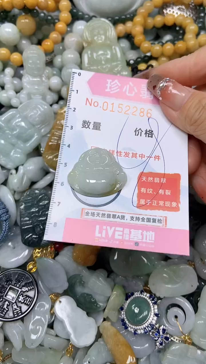 【闪购商品】翡翠颈饰未镶嵌闪购链接0152286