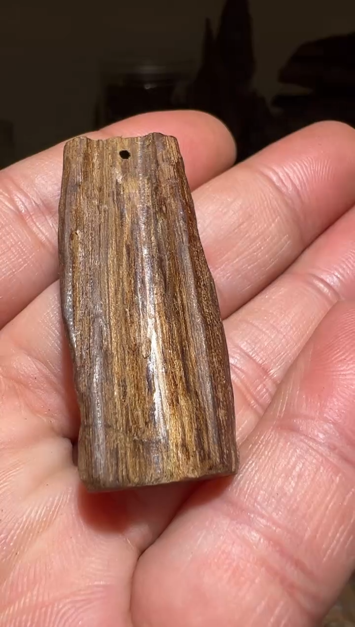 【闪购商品】沉香沉香碎屑顺化3.3克