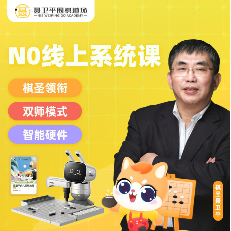 【下单查看短信填写地址】YTY专属-N0聂卫平围棋-线上围棋班