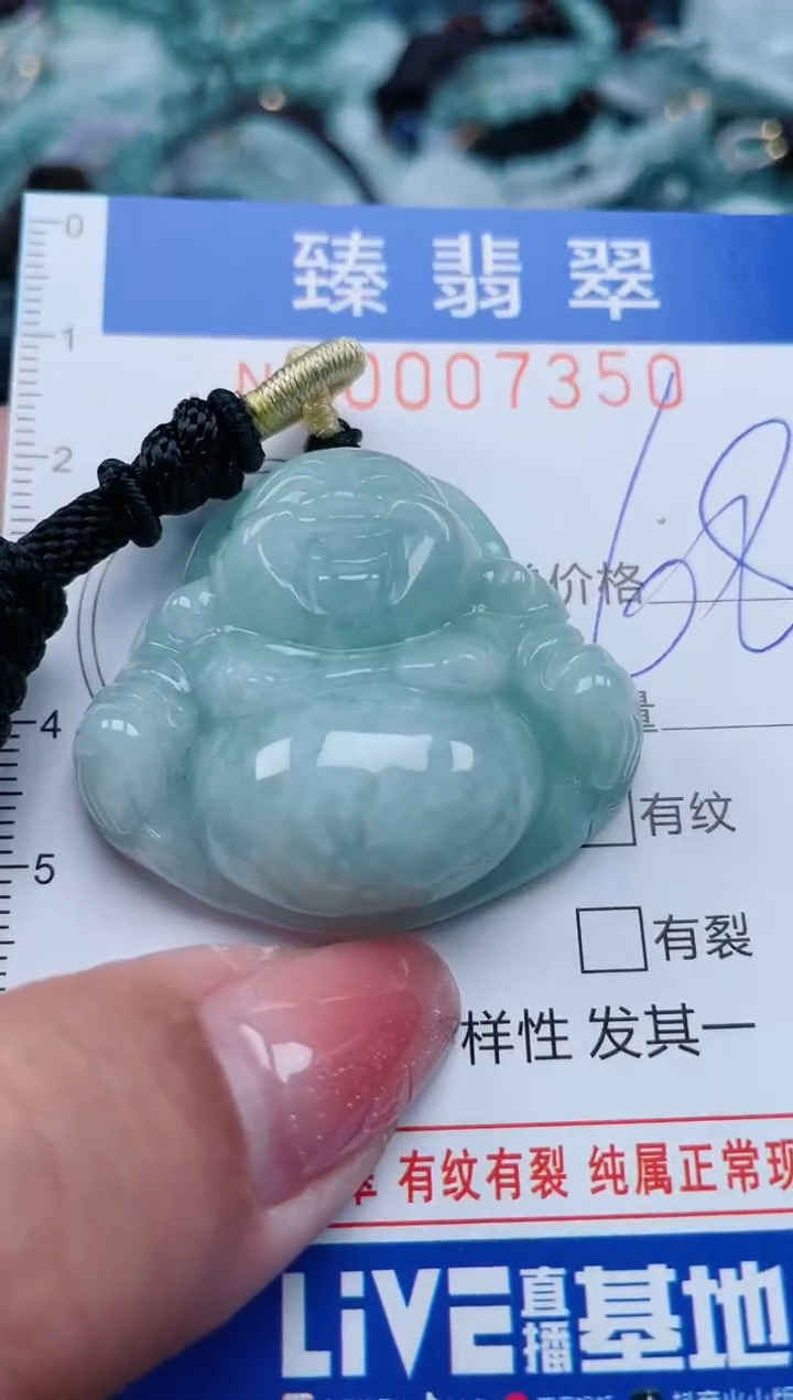 【闪购商品】翡翠颈饰未镶嵌.0007350