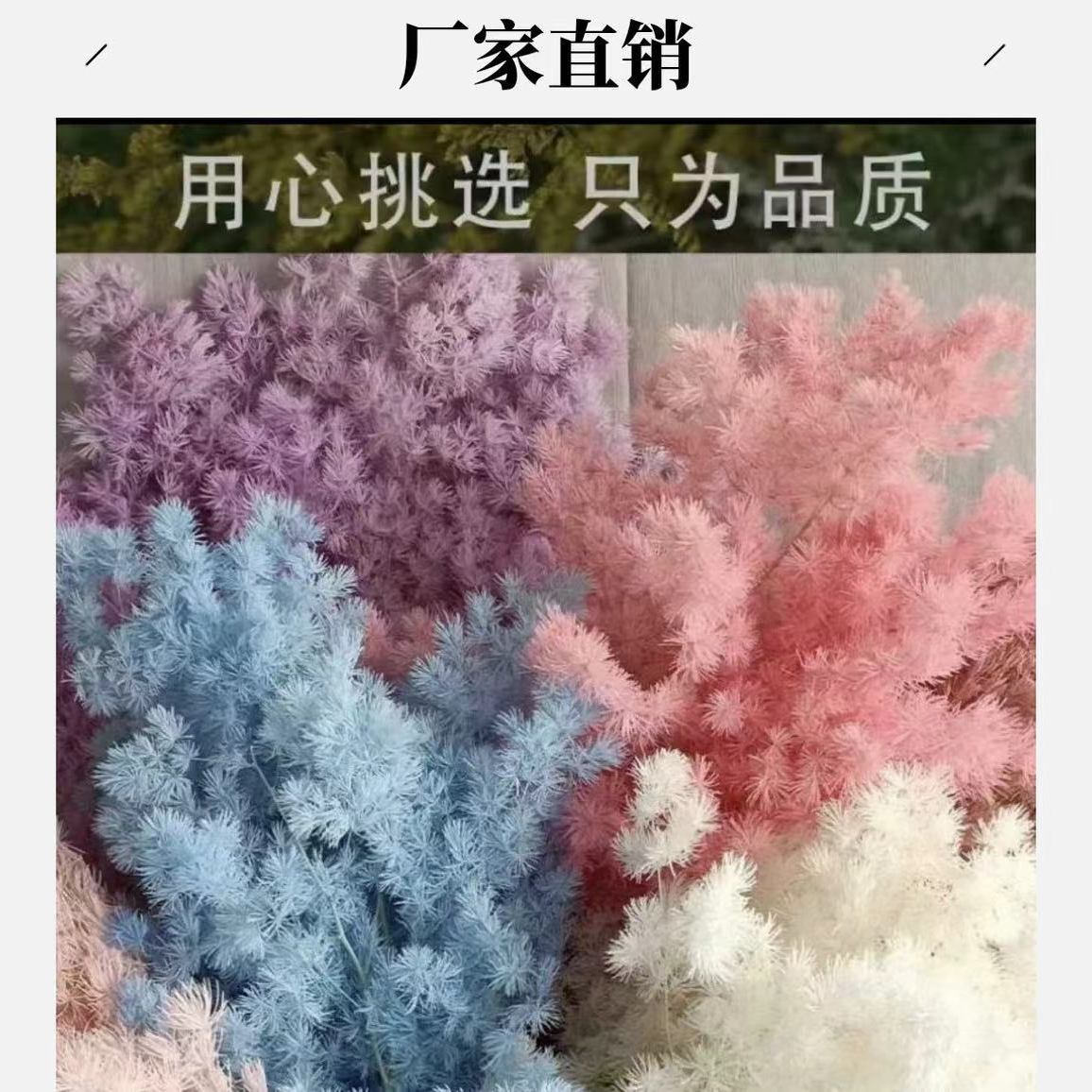 七夕必备永生蓬莱松花束可用于手工与花店装饰长10cm-40cm。5支装