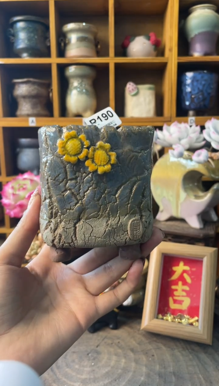 190内口7【多肉花盆多肉盆】