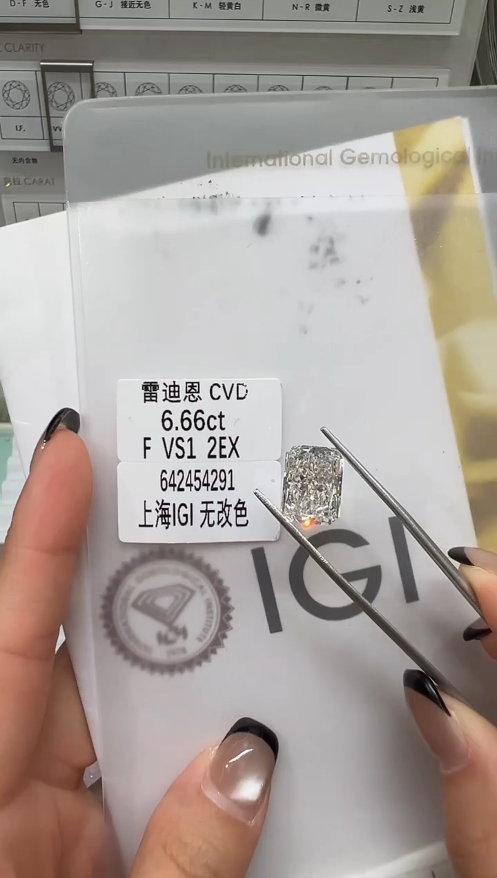 【闪购商品】实验室培育钻石未镶嵌@ 6.66ct 先鉴赏，再定制！