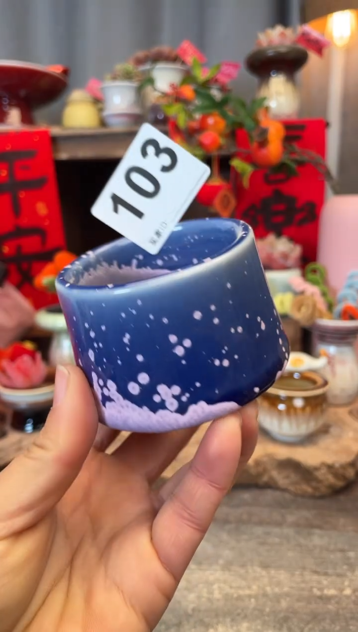 【闪购商品】摆件103知木小芳花盆