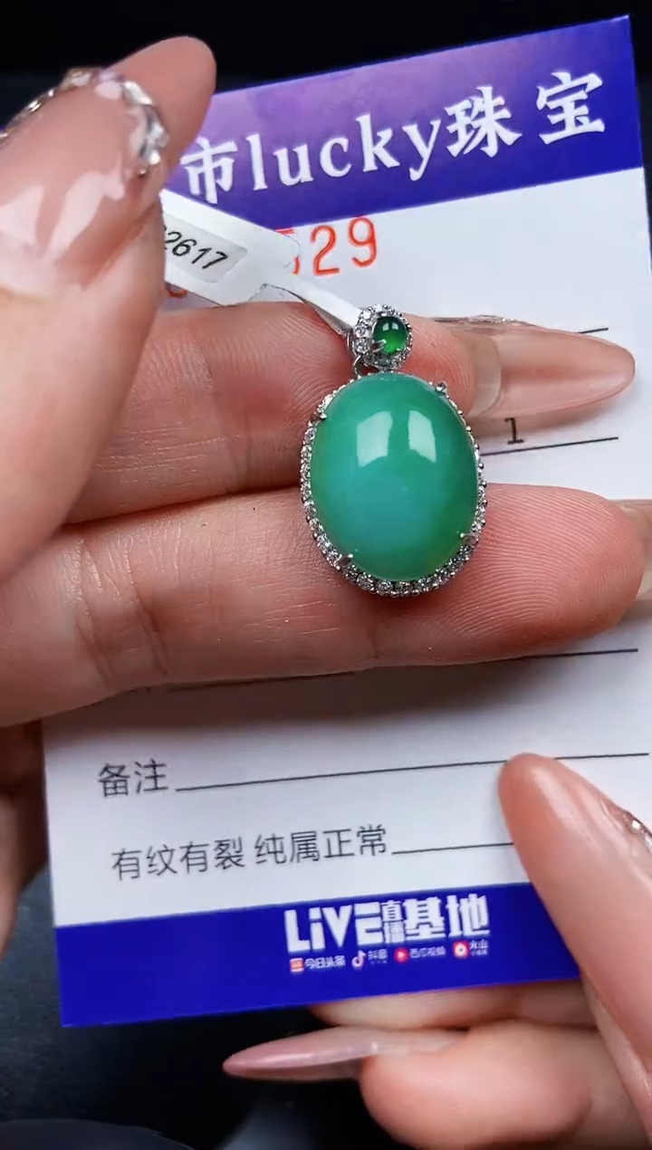 翡翠银S925镶嵌颈饰4529