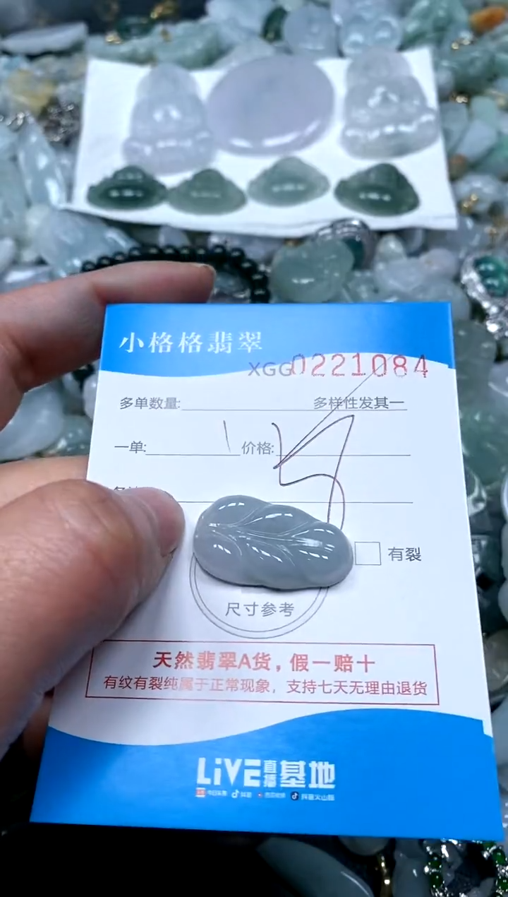 【闪购商品】翡翠颈饰未镶嵌闪购商品0221084