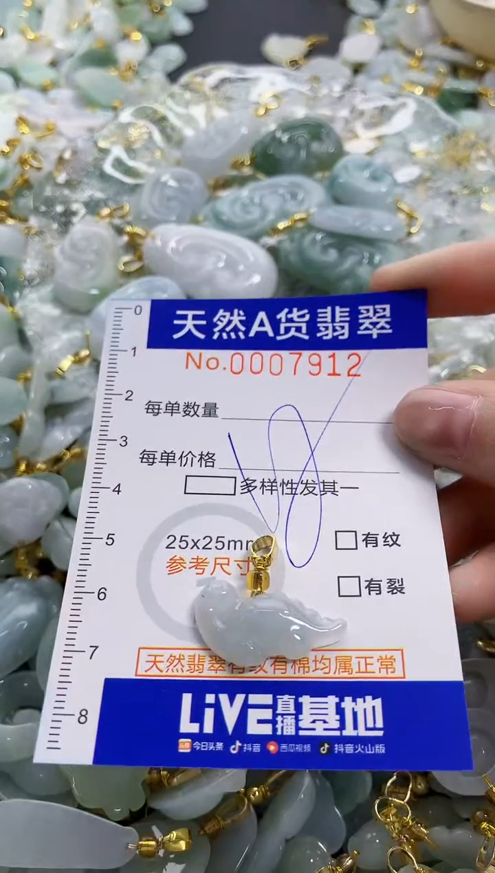 颈饰未镶嵌翡翠天然A货翡翠