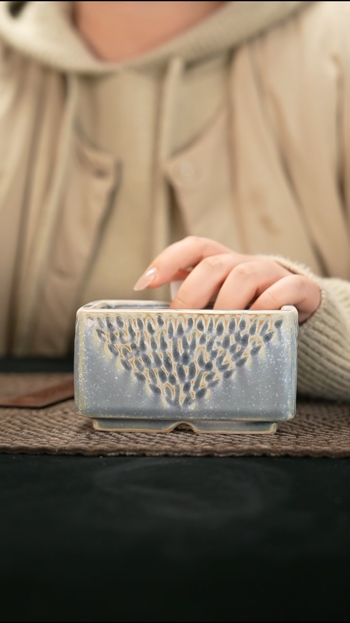 口径10花盆-12-24-412特默认有瑕