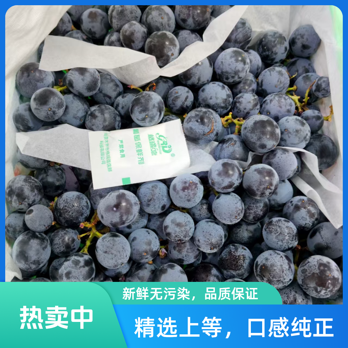 【鹏程甄选】新疆蓝莓葡萄新疆维吾尔自治区新疆维吾尔自治区
