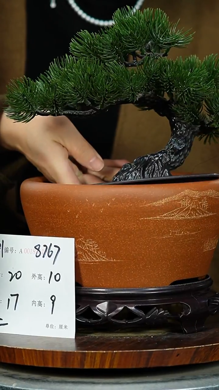 紫砂花盆876+S紫砂花盆紫砂