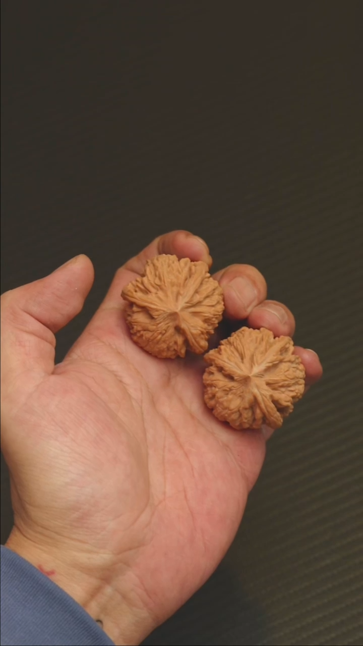 福利福利福利御龙粗筋三棱37