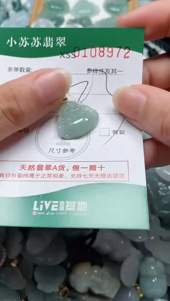 【闪购商品】翡翠未镶嵌颈饰闪购商品0108972