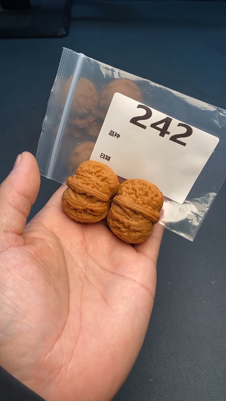 【闪购商品】文玩核桃吊坠242号41尺寸全品元宝