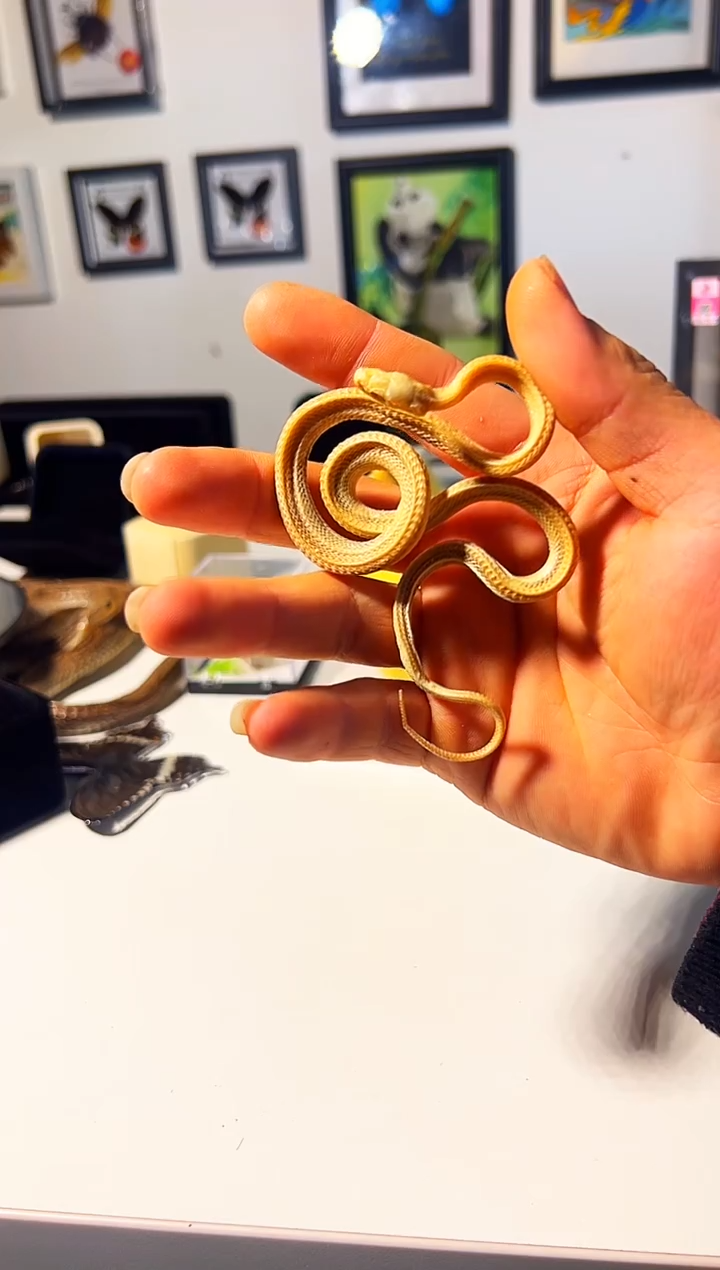 有机玻璃373373737