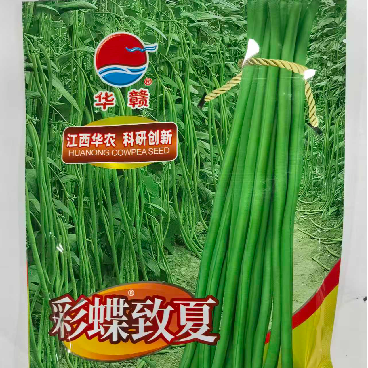 200克彩蝶致夏豆角种子商品性好