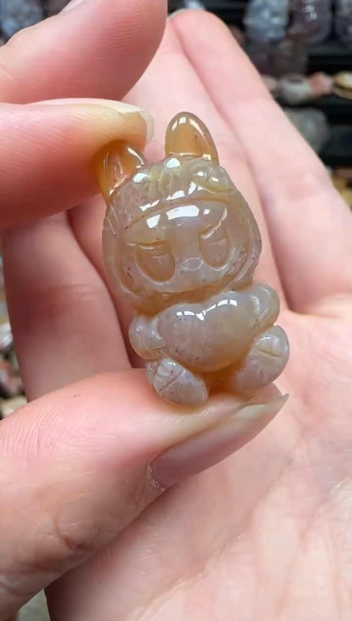 颈饰未镶嵌硅化珊瑚（珊瑚玉）706