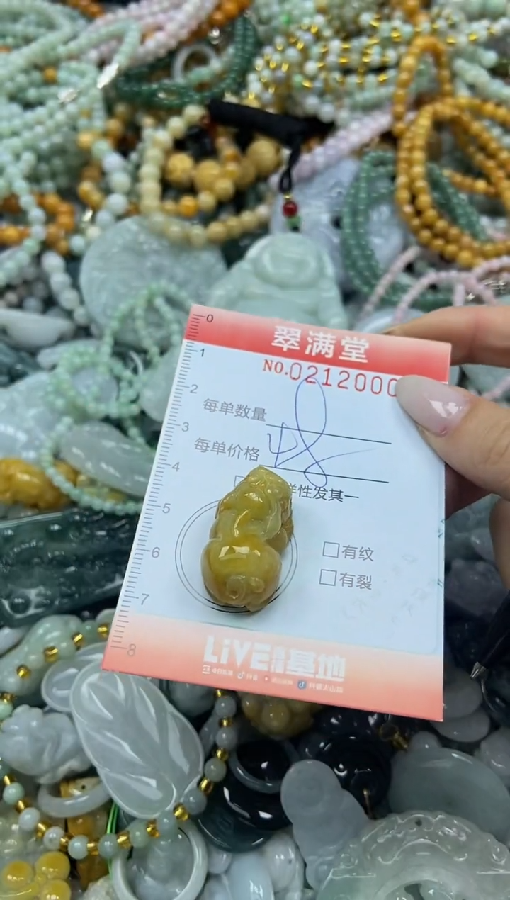 颈饰未镶嵌翡翠闪购0212000