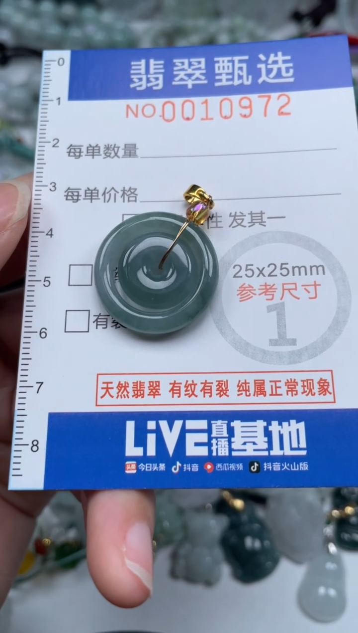 颈饰未镶嵌翡翠10972