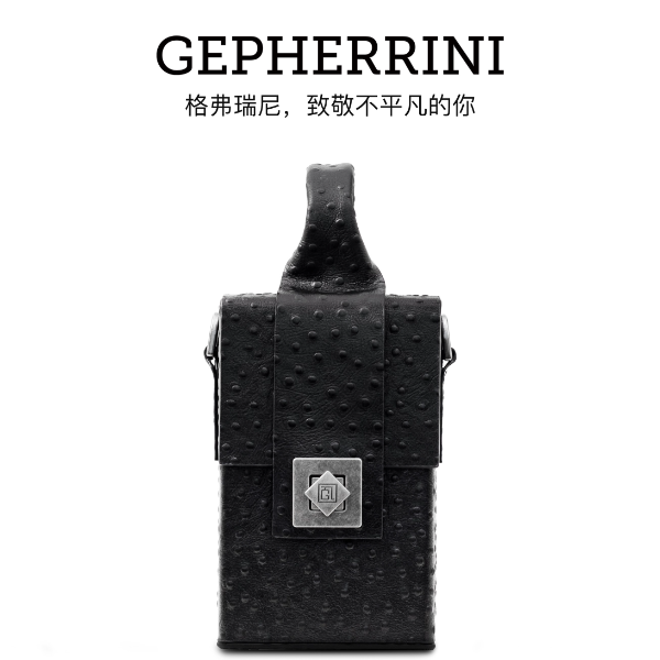GEPHERRINI2025新款设计师百搭款纯黑色百宝箱轻奢小众斜挎包
