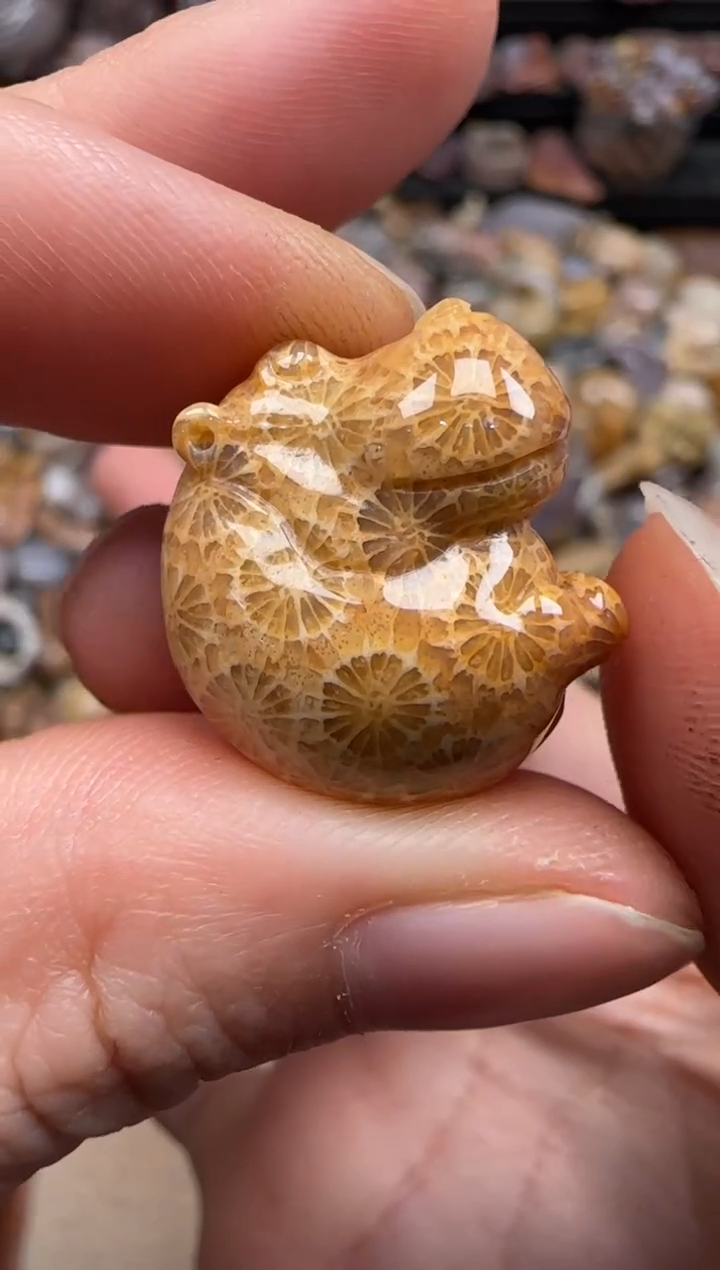 【闪购商品】硅化珊瑚（珊瑚玉）颈饰未镶嵌107