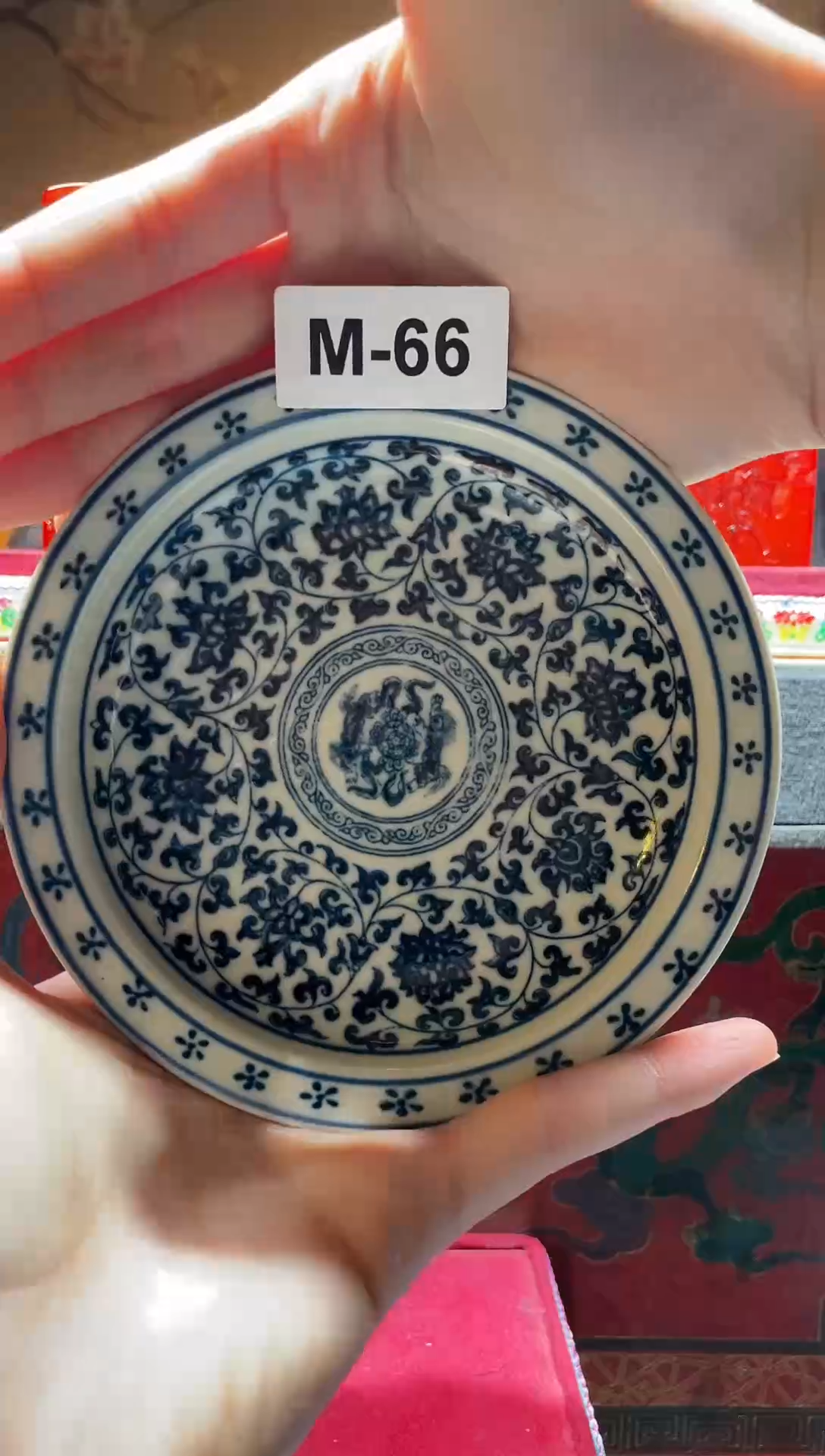 【闪购商品】碟M-66【按照编号拍，按编号发货】