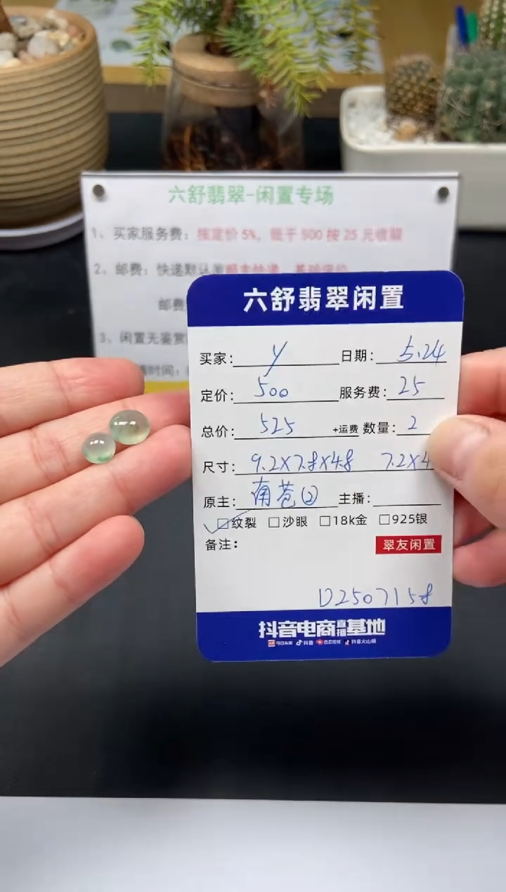 翡翠未镶嵌颈饰D2507158