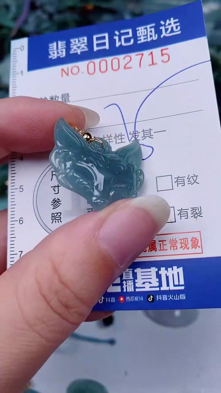 翡翠未镶嵌颈饰00002715