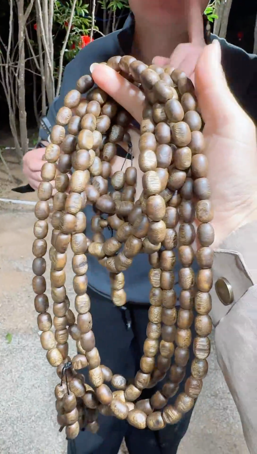 【闪购商品】沉香沉香碎屑乌身留疤多圈34多样性发1