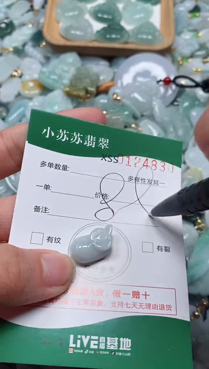 【闪购商品】翡翠颈饰未镶嵌闪购商品0124830