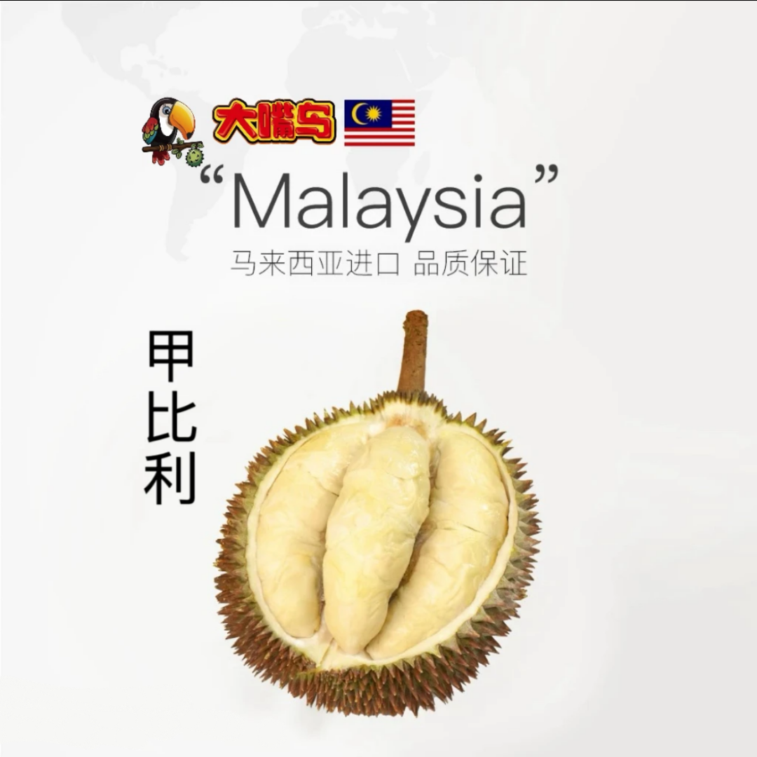 大嘴鸟马来西亚甲比利液氮榴莲