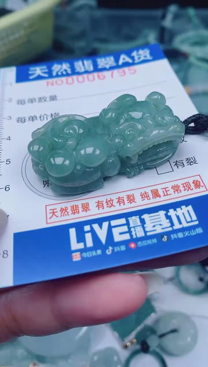 颈饰未镶嵌翡翠00006795