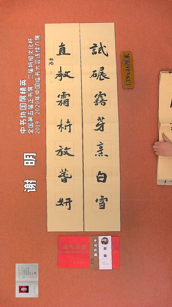 【闪购商品】书法97        谢明老师书法作品