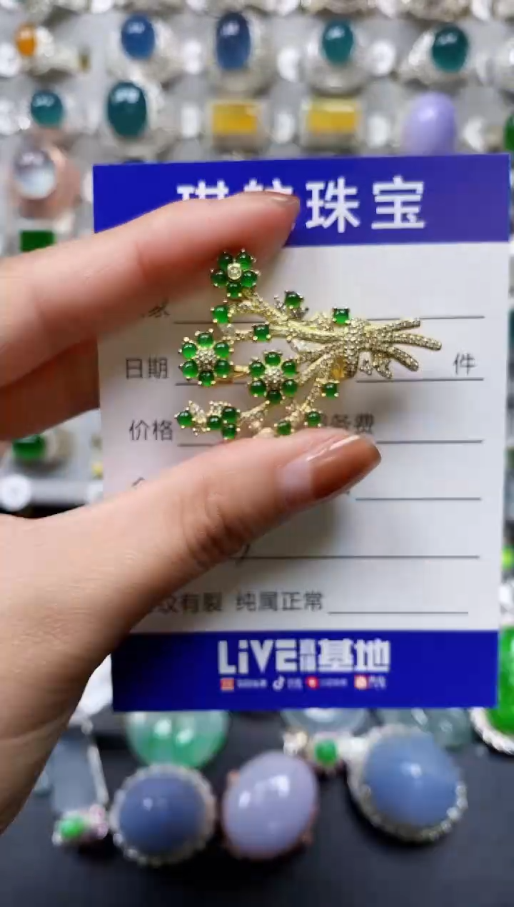 【闪购商品】翡翠颈饰银S925镶嵌0113