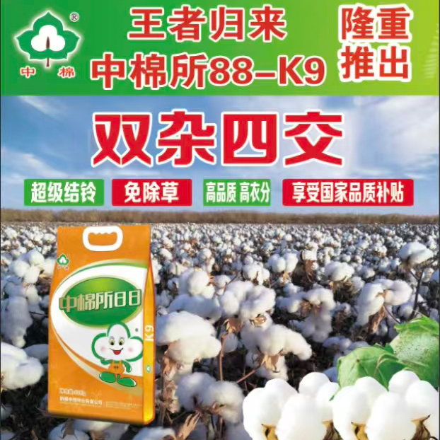 中棉所88-K9棉花种子意向金