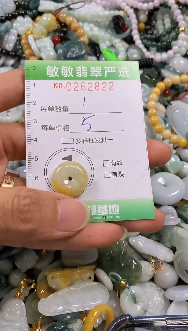 翡翠未镶嵌颈饰闪购0262822