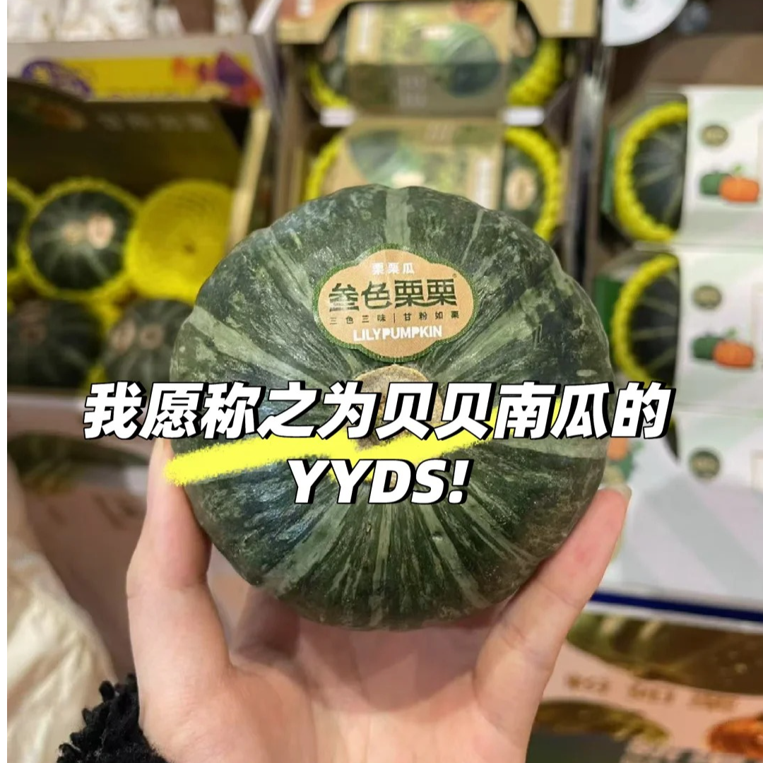 叁色栗栗南瓜  把“好看”和“好吃”焊死了