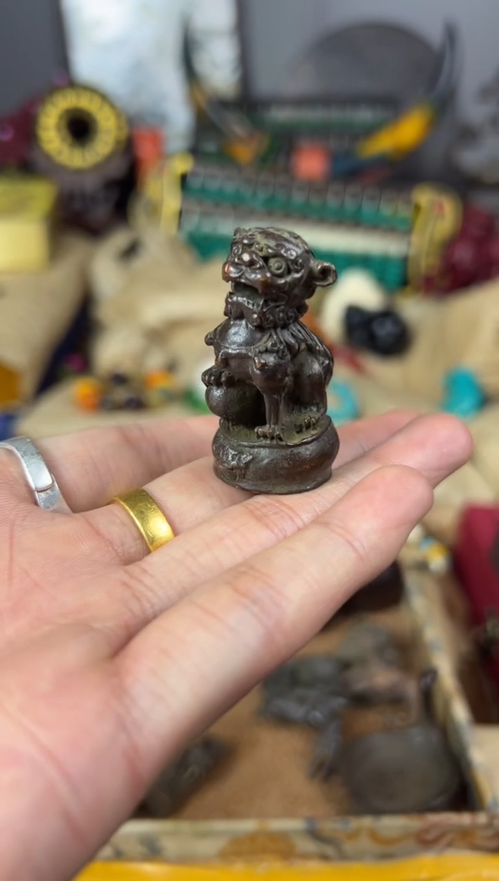 【闪购商品】主播推荐主播推荐