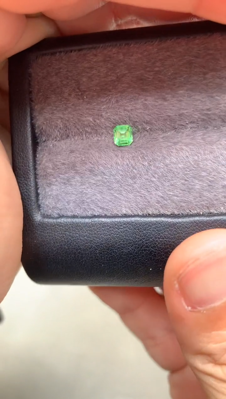 【闪购商品】定制石榴石裸石未镶嵌八角 沙弗莱 0.49ct