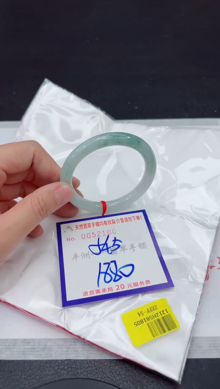 未镶嵌手镯翡翠11111