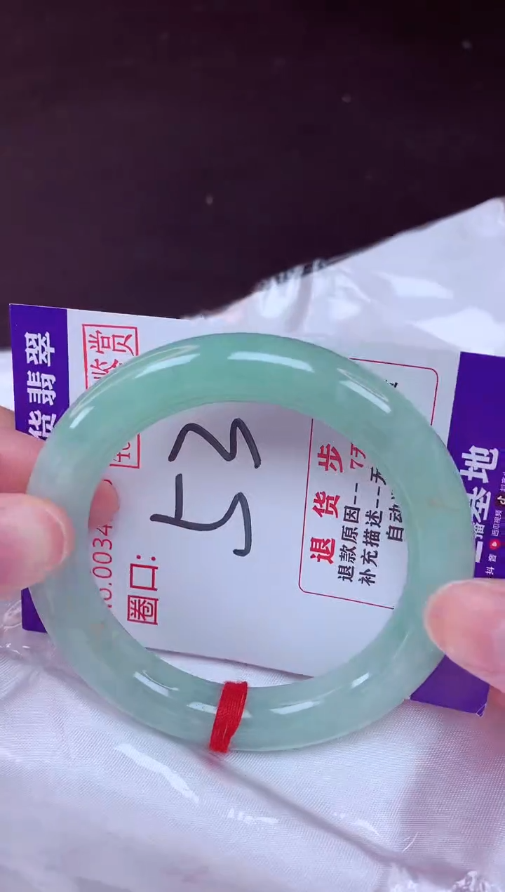未镶嵌手镯翡翠53（48小时鉴赏期 ）